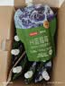 京东京造 100%NFC有机蓝莓汁180g*12精制礼盒纯果汁花青素饮料 实拍图
