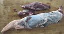 趣尝鲜和牛腱子净重1kg原切谷饲牛腱子 卤味红烧健身食材 生鲜 实拍图
