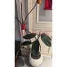HB-101植物活力素营养液50ml促生长兰花多肉僵苗生根液养花植物通用 实拍图