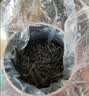 七春英红九号 英德9号工夫红茶广东特产小罐散装茗茶叶自己喝100g 实拍图