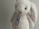 Jellycat害羞乳白色邦尼兔动物毛绒玩偶安抚玩偶娃娃送礼生日礼物 害羞乳白色邦尼兔 Medium 实拍图