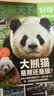 【订1年送1年小创客】好奇号杂志 6-12岁儿童科普百科小学生通识教育2026年/2027年单期/半年/全年订阅/6周年纪念专辑杂志铺 Cricket Media版权X星球Y世界双语册2027新刊 【 实拍图