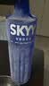 深蓝（SKYY）SKYY 伏特蓝天伏特加 原瓶进口洋酒750ML*2双支礼盒装 送礼 实拍图
