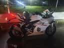 张雪机车ZXMOTO 2026款500RR单摇臂四缸燃油仿赛摩托车跑车机车 26款500RR单摇臂（珍珠白） 实拍图