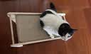 梵都宠舍实木剑麻猫抓板69cm加大号剑麻垫L型猫抓板 实拍图