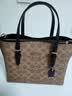 蔻驰（COACH）【品牌直供】女士MOLLIE25中号斜挎托特包卡其棕CV965礼物次日达 实拍图