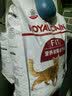 皇家猫粮 成猫猫粮 营养均衡 F32 通用粮 1-7岁 2KG 实拍图