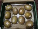 佳沛（zespri）新西兰金奇异果10粒巨大果146-175g猕猴桃中秋节礼品送水果礼盒 实拍图