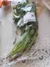 带根香菜100g 实拍图