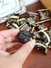 三只松鼠中式滋补红枣核桃黑芝麻丸150g 坚果中式糕点点心健康休闲零食 实拍图
