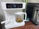 米家【重磅新品】小米智能茶吧机台面式桌面直饮水机水吧茶水台下置式水桶泡茶养生壶恒温壶高端家用 实拍图
