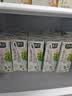 豆本豆桂花乌龙豆奶250ml*20盒植物蛋白饮料儿童营养学生早餐奶礼盒批发 实拍图