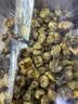 茗愿西柚柠檬百香果茶105g儿童水果茶饮品冻干补冷泡水喝的VC花果茶包 实拍图