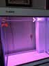 森森（SUNSUN）大型鱼缸底过滤水族箱客厅家用落地玻璃生态金鱼缸 【实时温显+灯控】珍珠白 0.6米长35cm宽 实拍图