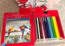 辉柏嘉（Faber-castell）水溶性彩铅笔彩色铅笔48色手绘涂色专业美术生绘画笔套装114468赠毛笔/笔刨美术写生画画笔 实拍图