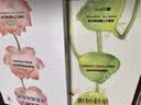 要有光 梁鸿著 第九届鲁迅文学奖 第二十一届文津图书奖获奖作品 中国青少年心理调查实录 非虚构代表作家 城市 乡村 学校 家庭 社会 梁庄三部曲 罗翔推荐 中信出版社 实拍图