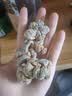 半山农 20头三七头250g 云南文山特田七头级磨三七粉中药材老人实用礼物 实拍图