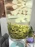 乐品乐茶毛尖茶叶特级明前春茶嫩芽2026新茶绿茶礼盒装250g自己喝中秋送礼 实拍图