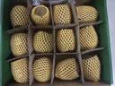 佳沛（zespri）新西兰绿奇异果优选大果12粒115-135g猕猴桃中秋节礼品送水果礼盒 实拍图