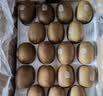 佳沛（zespri）新西兰金奇异果12粒特大果124-146g猕猴桃中秋节礼品送水果礼盒 实拍图