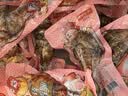 德州扒鸡山东特产熟食零食休闲食品独立包装五香味德州扒鸡大鸡腿65g*14 实拍图