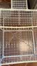 坤宁王*鱼缸底滤板滤材垫板网格板铺底造景垫底部专用龟缸晒台可拼接2片 实拍图