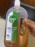 滴露（Dettol）消毒液洗衣衣物消毒水750mL 除螨杀菌混洗无忧 家居地板消毒 非84 实拍图