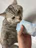 多特思羊奶炖鸡猫主食餐包6包成幼猫湿粮罐头全价猫咪汤包饭 实拍图