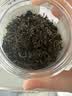 古茶养仁蒲公英叶茶野生特级中药材散结茶去结消火节消除泡水喝养生茶100g 实拍图