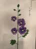 得力（deli）6支装画笔套装学生艺考手绘专业级大师(水粉丙烯油画水彩颜料)画笔套装73885开学必备礼物男女孩 实拍图