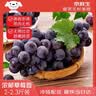 京鲜生 云南夏黑无籽黑提 蓝莓葡萄尝鲜装2-2.3斤 高糖低酸 生鲜水果 实拍图