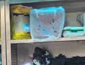 佳帮手塑料收纳箱 透明加厚储物箱衣物玩具车载整理箱 大号20L1只装  实拍图