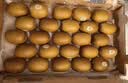 佳沛（zespri）金奇异果25-27粒原箱特大果124-146g猕猴桃中秋节礼品送水果礼盒 实拍图