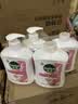 滴露（Dettol）洗手液抑菌消毒滋润500g+500g 补充装 儿童家庭护手替换装 实拍图