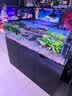 创宁变频潜水泵静音过滤循环潜水泵CN9500-80W 10档流量调节循环抽水 实拍图