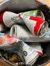 百威冰啤酒500ml*18罐整箱装【99%好评】京东自营中秋送礼 实拍图