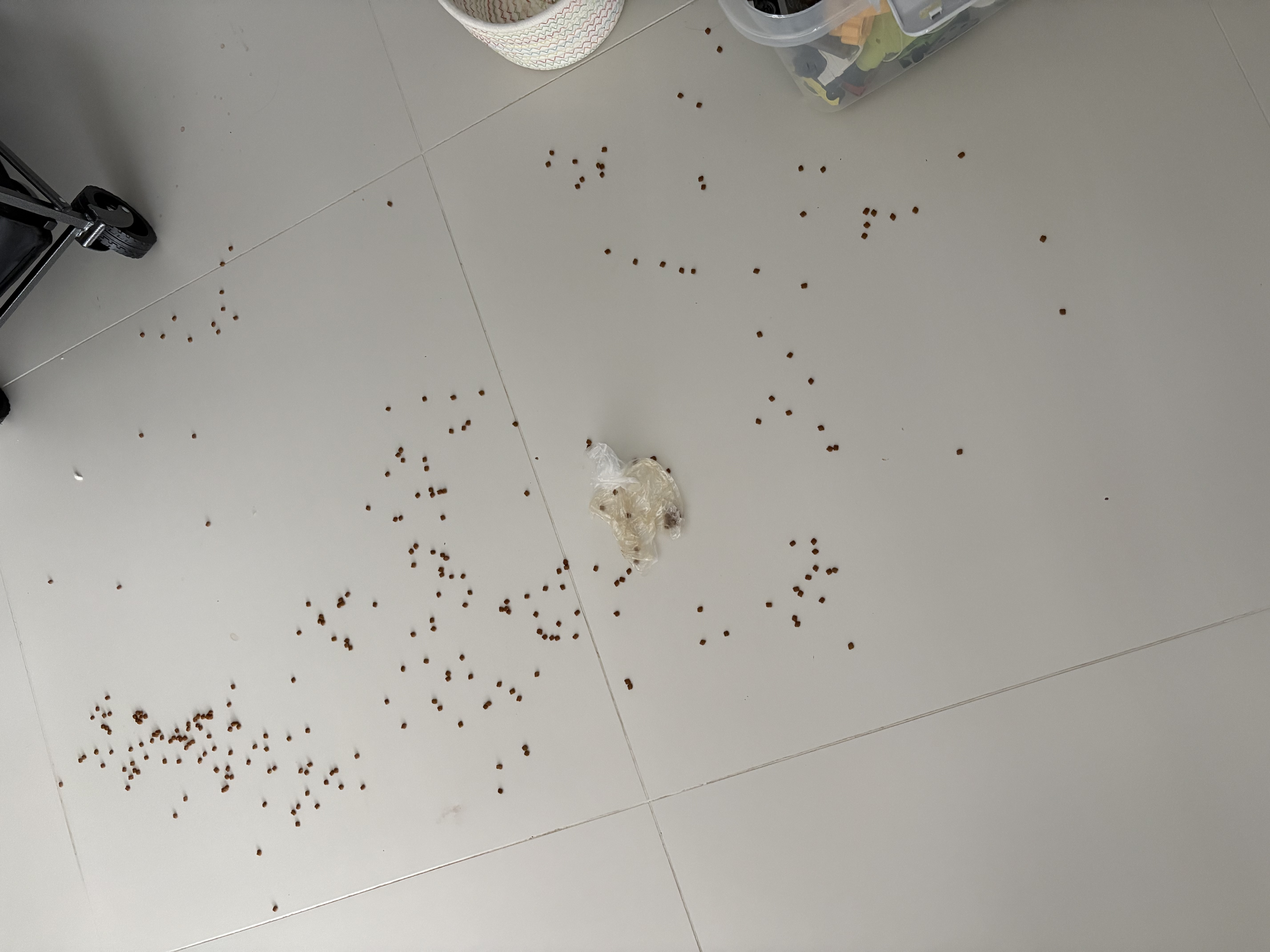 LEGENDSANDY蓝氏狗粮狗零食真鲜乳鸽冻干鲜肉犬粮尝鲜组合泰迪柯基 实拍图