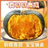 京喜加惠和1号贝贝南瓜新鲜蔬菜生鲜减肥减脂早餐沙拉单果100g起 贝贝南瓜 9斤 净重 实拍图