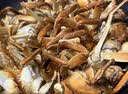 【活蟹】湖鲜阳澄 大闸蟹 去绳足重 2.8-3.1两 8只 鲜活六月黄现货超大螃蟹生鲜礼盒装 实拍图