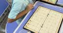 得力（deli）象棋便携折叠棋盘儿童小学生成人初学者磁石露营益智桌游开学礼物 实拍图