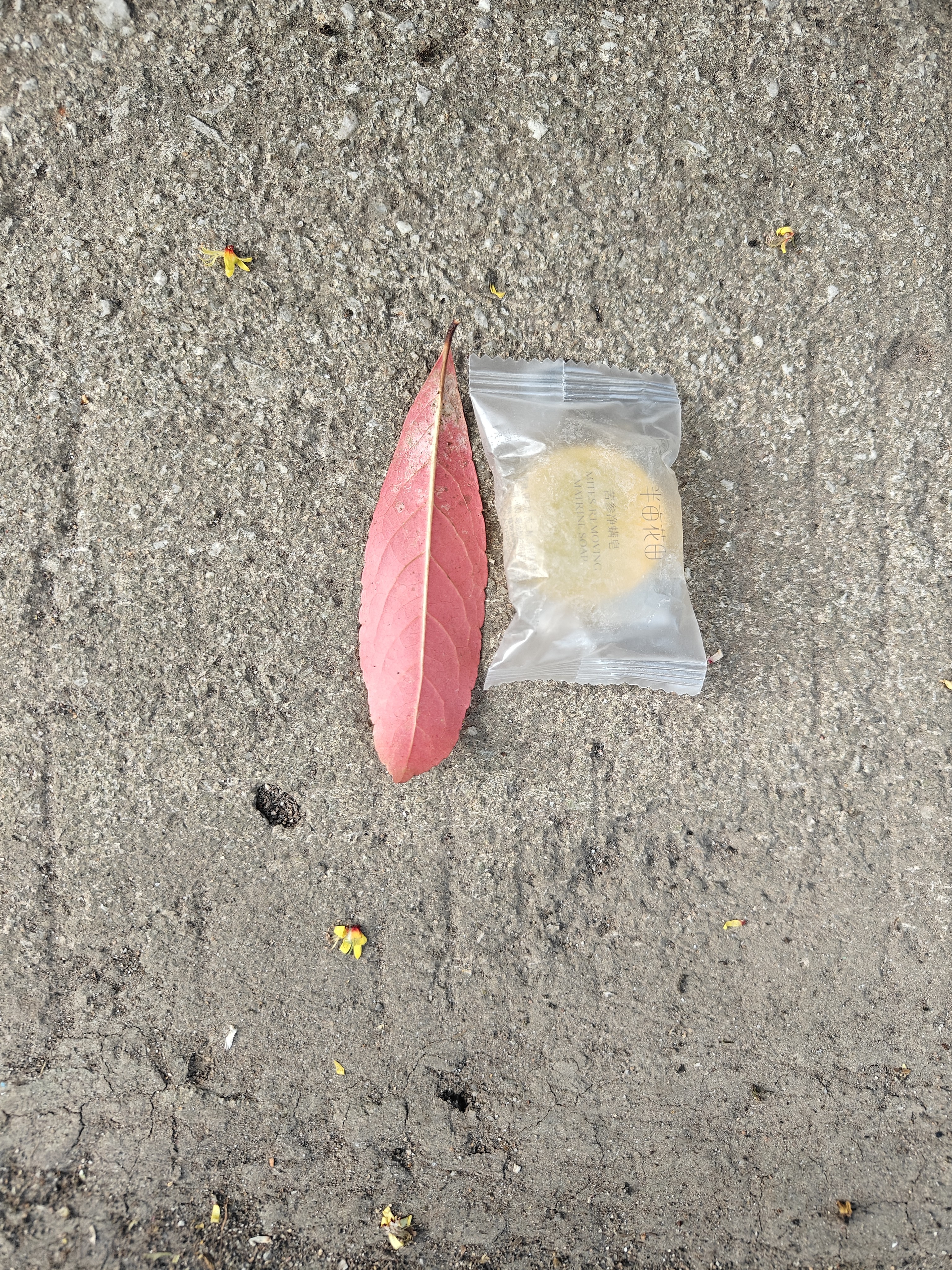 半亩花田苦参净螨皂洗手沐浴全身可用男女深层清洁控油面部20g 实拍图