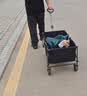 京东京造 户外露营车折叠推车营地车野餐摆摊快递买菜小拉车拖车石墨黑 实拍图