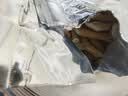 福东海 牛大力250克  粉质牛大力干货煲汤料 煮牛大力黑豆牛骨汤 可泡酒 实拍图
