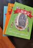 四大名著小学生注音版全套4册拼音读物正版图书 送人物关系图有声伴读西游记取经路线图三国演义水浒传红楼梦原著正版思维导图青少年一年级二年级课外阅读必读书籍漫画儿童文学故事书绘本读物  黑色星期五 实拍图