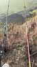 熊火鱼竿支架不锈钢2.4米炮台支架带地插可拆卸钓椅钓箱钓鱼支架配件 实拍图