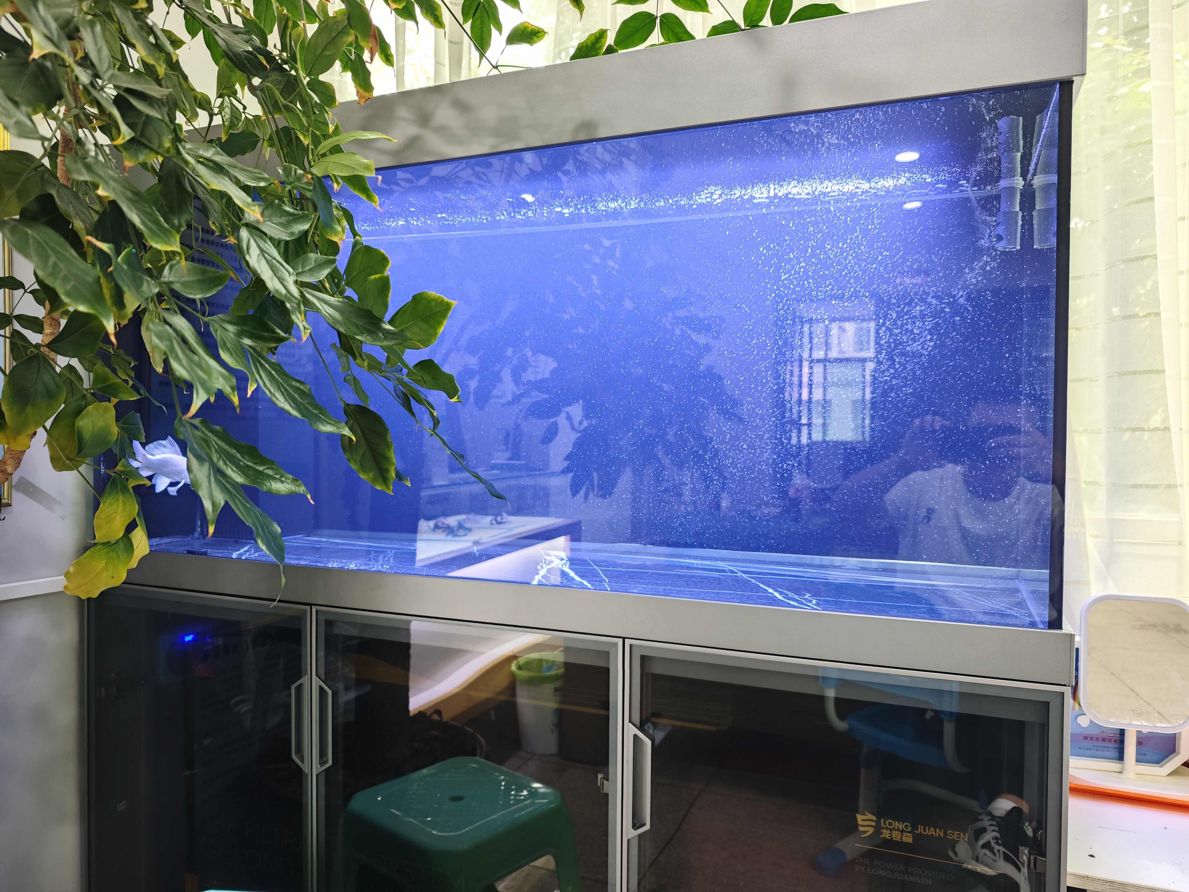 创宁变频潜水泵静音过滤循环潜水泵CN9500-80W 10档流量调节循环抽水 实拍图