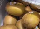 佳沛（zespri）新西兰金奇异果12粒特大果124-146g猕猴桃中秋节礼品送水果礼盒 实拍图