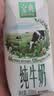 伊利【新鲜日期】金典纯牛奶 200ml*12 3.6g乳蛋白中秋礼品礼盒装 6月 实拍图