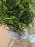 石榴花盆栽观赏石榴树老桩带果室内客厅绿植四季好养易活植物花卉 6年精选大苗 实拍图