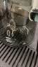 忆壶茶（YIHUTEA） 茶杯小品杯玻璃杯带把手耐热玻璃小茶碗品茗杯小杯子功夫茶具 松木杯架 实拍图